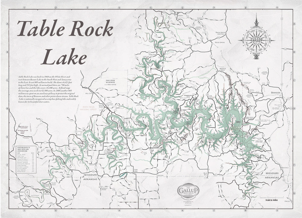 Table Rock Lake Map Vintage Decorator Gray with Antique Green Water